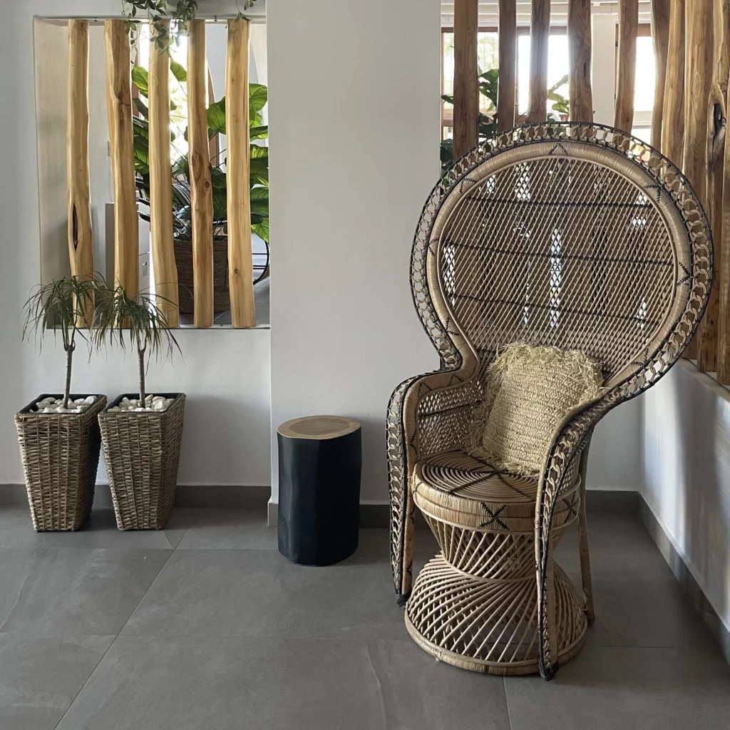 Le Fauteuil dit “emmanuelle”